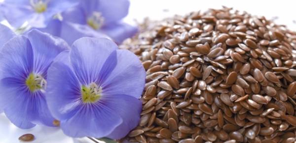 Laneno seme – najstariji lek
