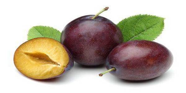 Zašto je šljiva najzdravije voće i kako doprinosti vašem zdravlju?