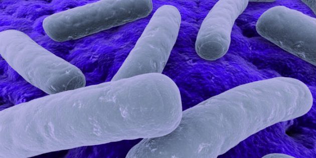 Klostridija – bakterija koja napada debelo crevo