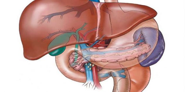 Masna jetra – simptomi i lečenje